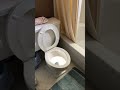 (Wait for it!) Every spring and fall their toilet gets illuminated by the sunshine coming #Shorts