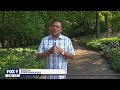 Escaping the heat at the Minnesota Landscape Arboretum | FOX 9 Morning News
