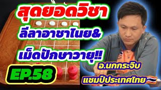 🔥ช็อตเด็ดสุดยอดเซียน EP.58🔥ตอน : ลีลาอาชาไนย&เม็ดปักษาวายุ!!! จาก อ.นกกระจิบ แชมป์ประเทศไทย 2566🇹🇭