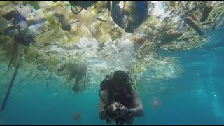 2 minutes angoissantes dans un mer polluée par le plastique à Bali