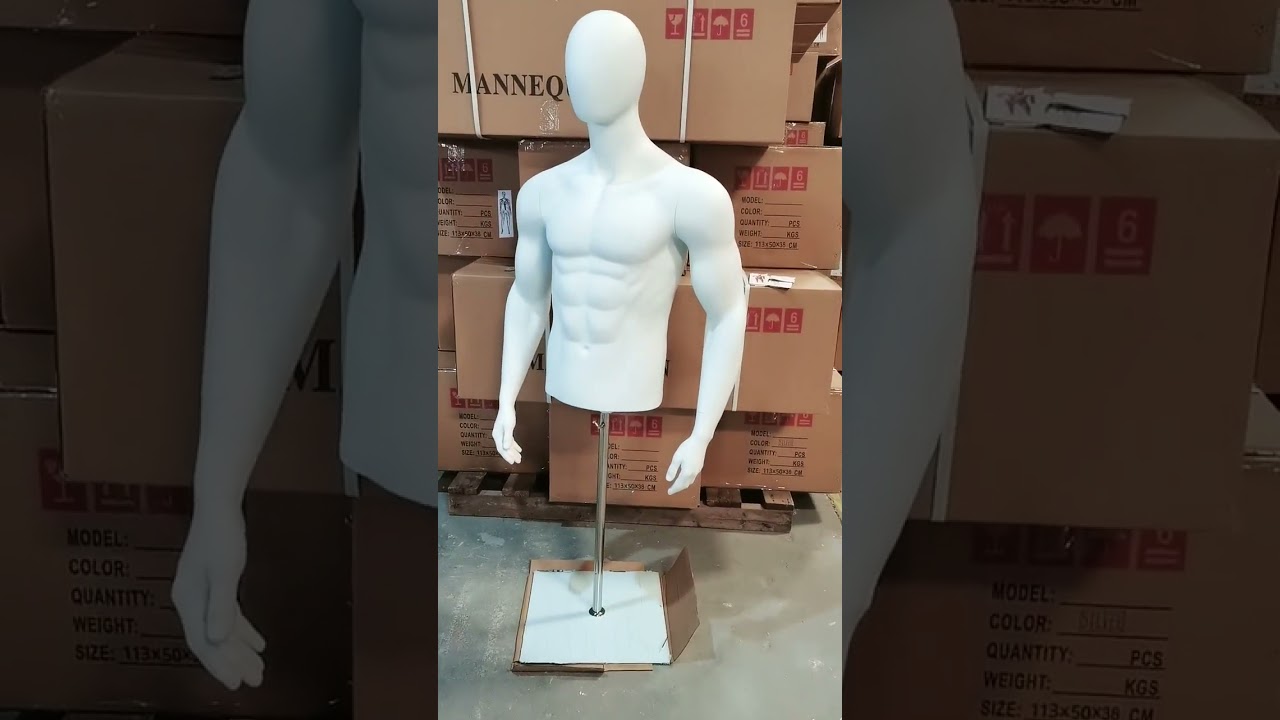 1/2 sports male torso mannequins