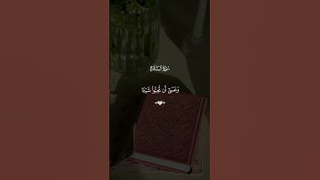 "سورة البقرة 216 | وعسى أن تكرهوا شيئًا... تلاوة مؤثرة بصوت ياسر الدوسري"