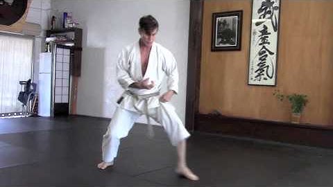 Rick Hotton Karate Back Stance to Reverse Punch