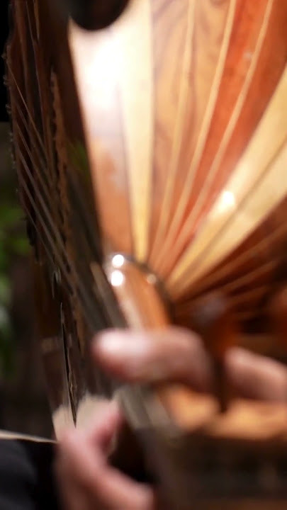 Tellerde Saklı Ruh | Ud #ud #oud  #musicshorts #shorts