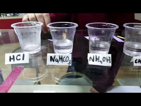 კომბოსტოს ინდიკატორი