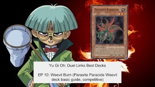 Duel Links best decks EP 10: Weevil Burn (Parasite Paracide Weevil deck basic guide, competitive)
