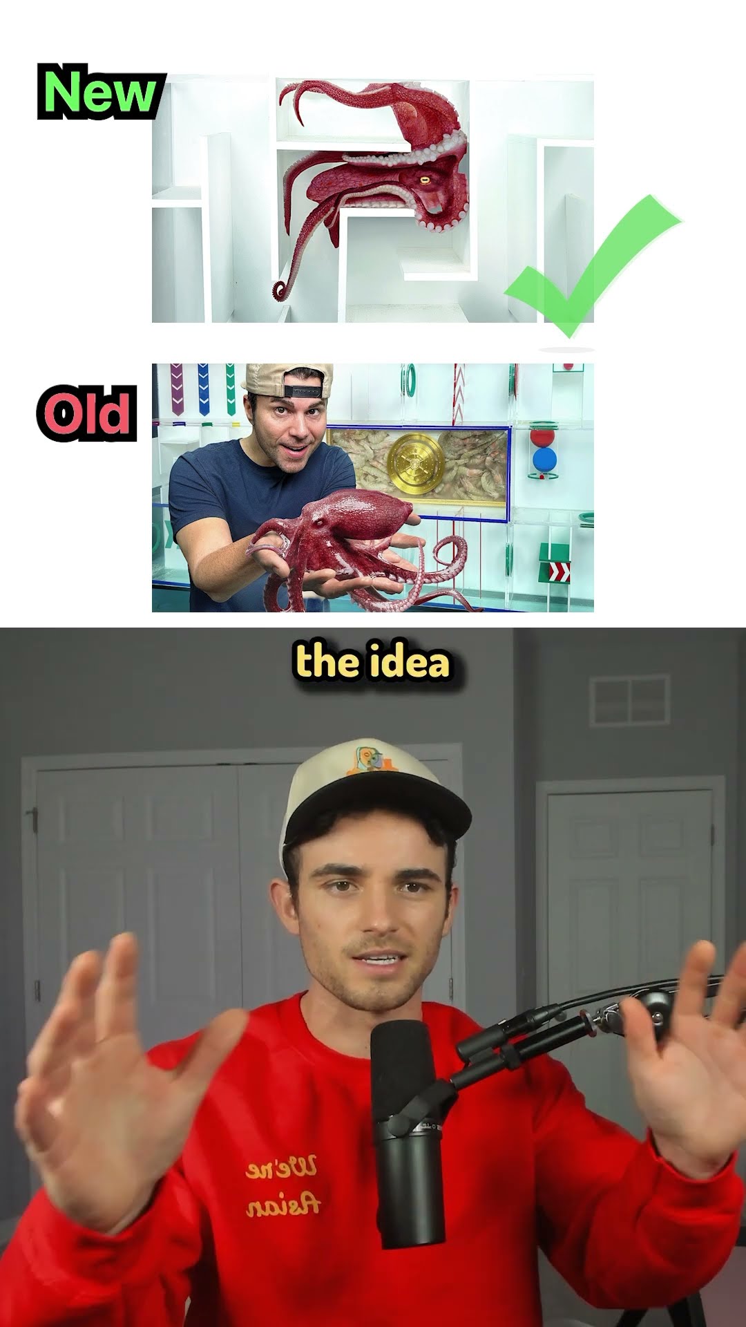Which Thumbnail Is Better?