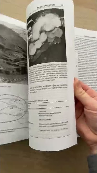Д.Тейлор,Н.Грин,У.Стаут БИОЛОГИЯ - YouTube