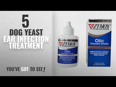 top-5-dog-yeast-ear-infection-treatment-[2018-best-sellers]:-pet-king-brand-zymox-otic-pet-ear