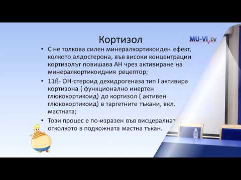 Видео: Как ендотелната дисфункция причинява хипертония?