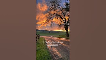 ياسر الدوسري | سورة لقمان