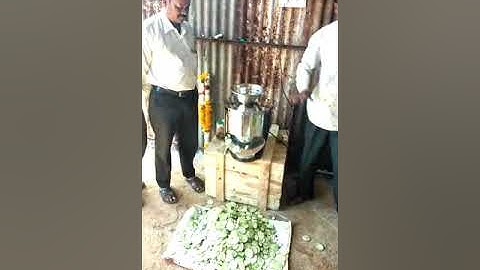 Lemon slice cutting machine