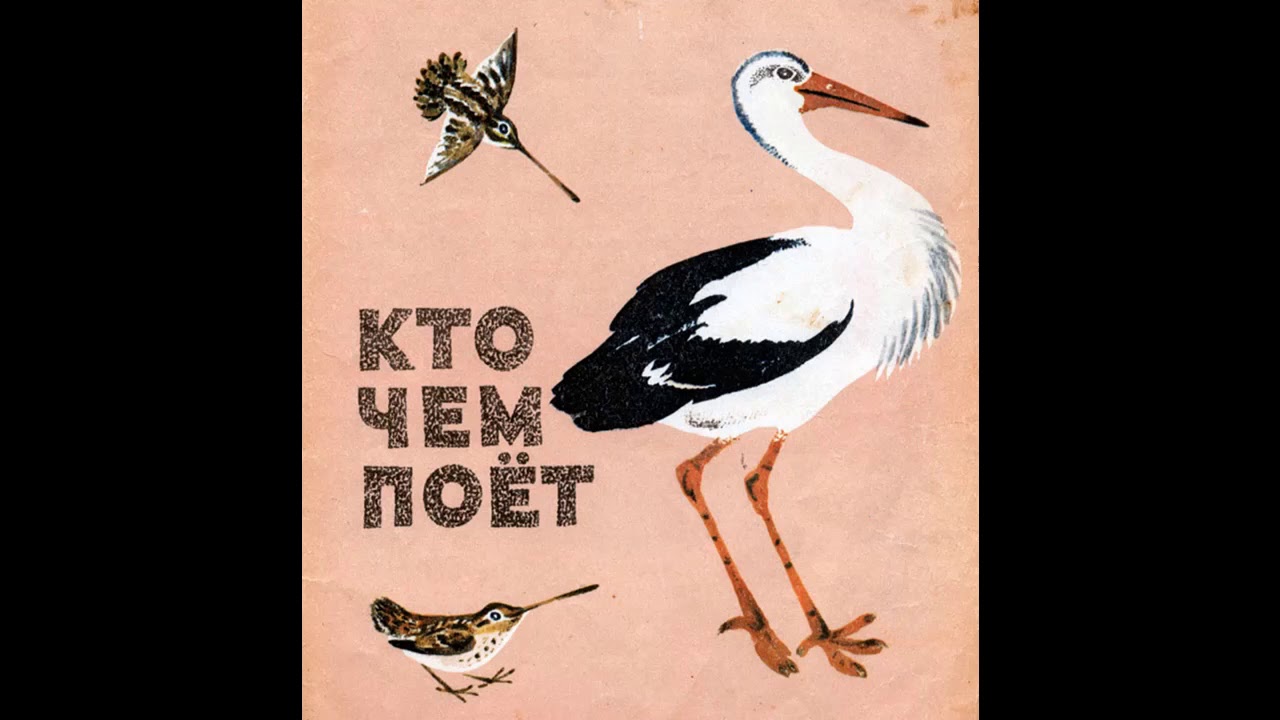В бианки кто чем поет рисунки