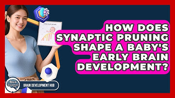 How Does Synaptic Pruning Shape A Baby