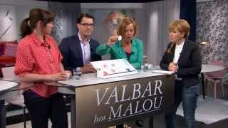 Valbar med Maria Arnholm (FP), Jimmie Åkesson (SD) och Åsa Romson (MP) - Malou Efter tio (TV4)