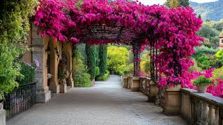 🇮🇹 Old World Charm: Bringing Authentic Italian Rustic Style to Your Yard