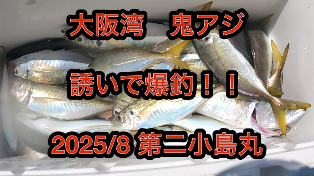 誘いで爆釣！！　大阪湾鬼アジ！　船酔いちゃんねる
