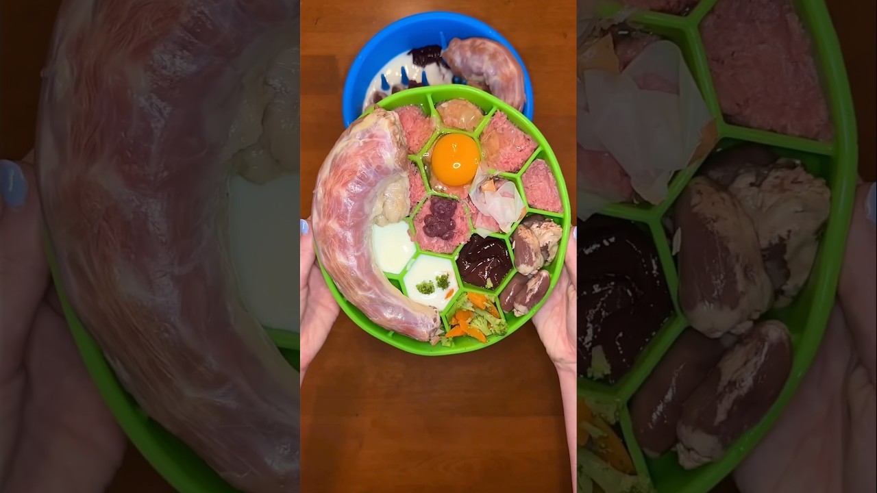 Come feed my raw fed dogs dinner 🍳🦴🥩 #shorts