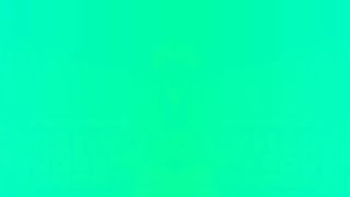 Gopher Broke In G-Major 560