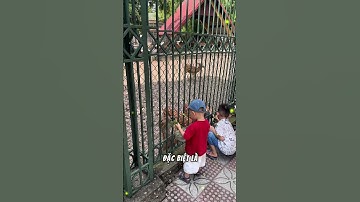 KHI BẤT KỲ AI NÓI LỜI CẢM ƠN VỚI BẠN….#tritue #daolycuocsong #tuduy #baihoccuocsong #đạolý