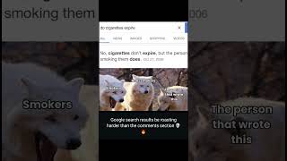 Google search on fire 🔥 💯 🤣 # #funny #funnyvideo #fun #chai&amp;chaos