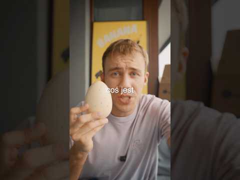 W ŚRODKU TEGO JAJKA ROŚNIE… thumbnail