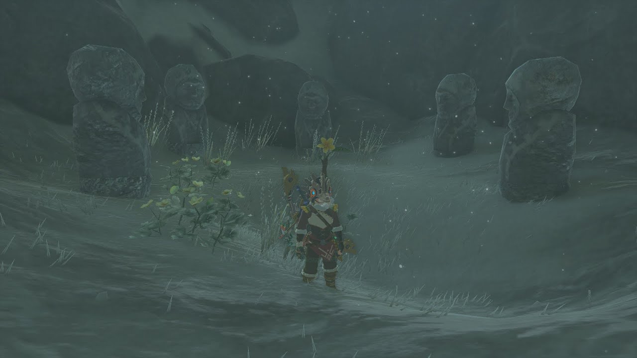 HideNSeek Statues Korok Puzzle TotK YouTube