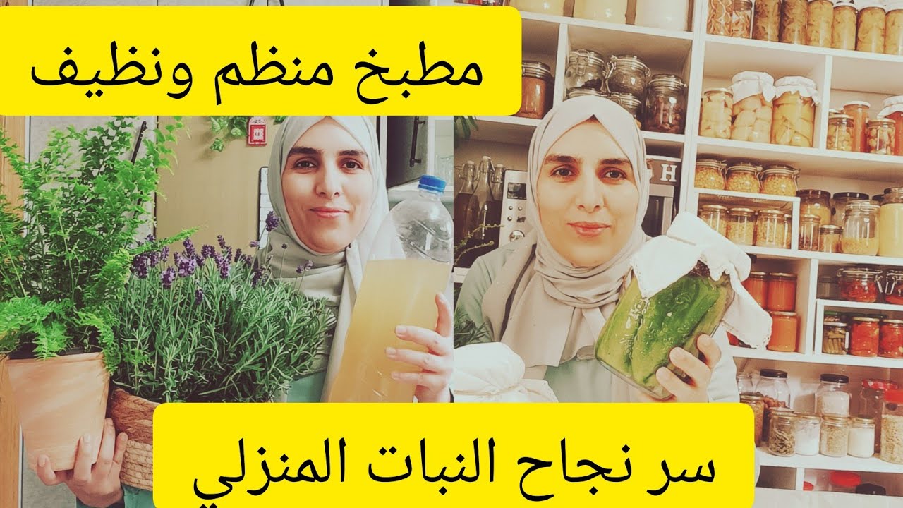 جولة في المطبخ مع حيلة ليظل مرتب.حضرت البرقوق حامض.وصفة طبيعية للنبات يبقى اخضر وميموتش