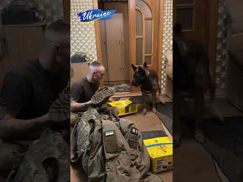 Одін завжди все принесе і допоможе а ще покаже Зайку 