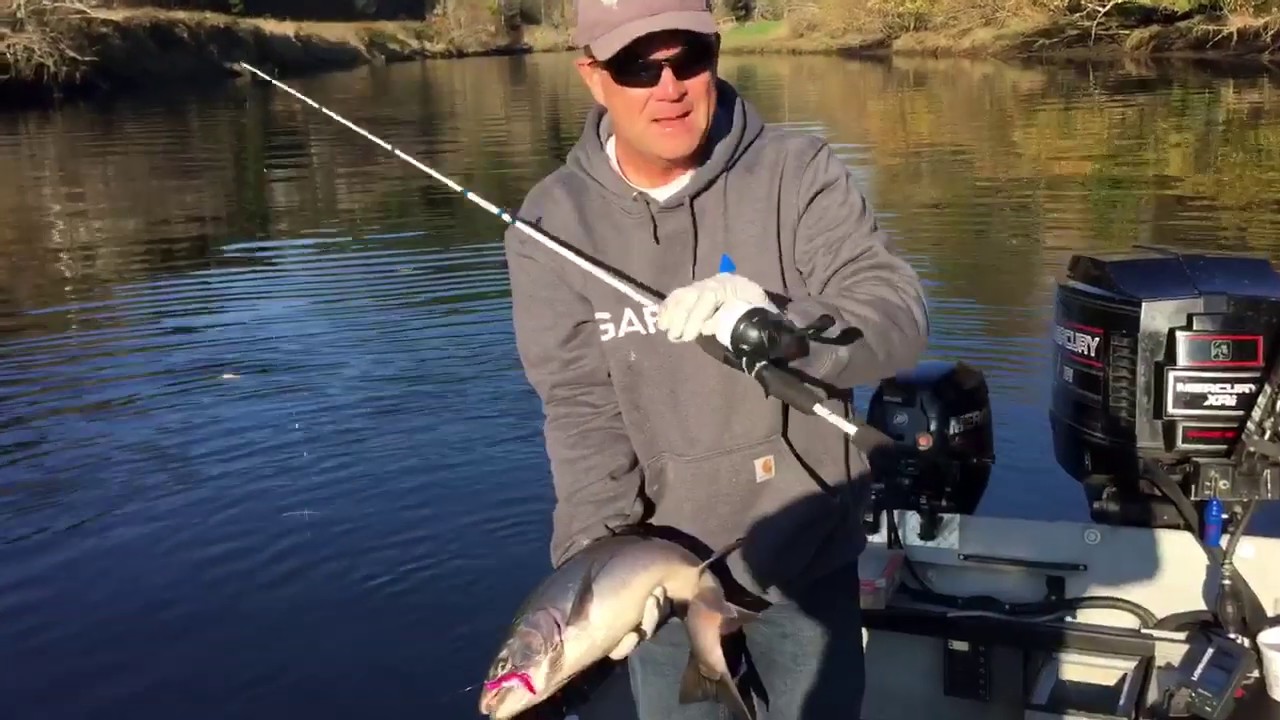 C.A.S.T. for Kids - CAST Fish Tip #7: How to Catch a Salmon with a Kid's  Cadence Rod 