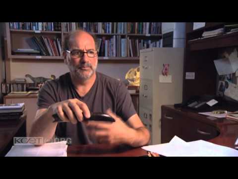 The Real Creatures Of Primeval Giganotosaurus