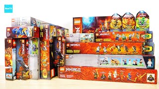 レゴ 新作 ジュラシックワールド ニンジャゴー 全16セット ／ New LEGO Jurassic World & NINJAGO 16sets