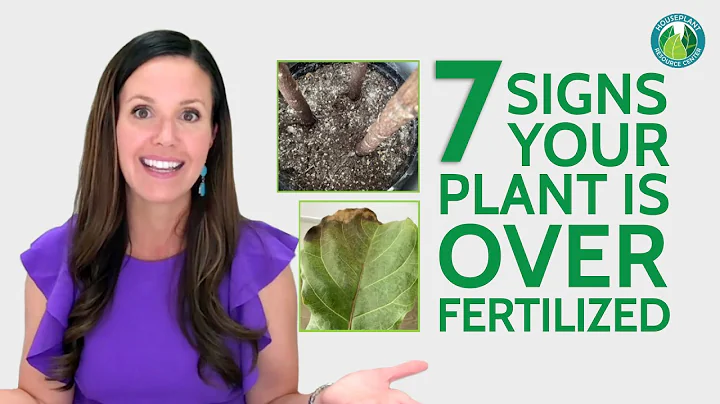 7 Signs of over fertilized plants | Houseplant Resource Center - DayDayNews