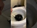 MASTER The Plunger In 39 SECONDS For A Clog FREE Life!