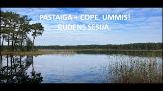 Pastaiga + Cope.  Ummis!  Rudens sesija.