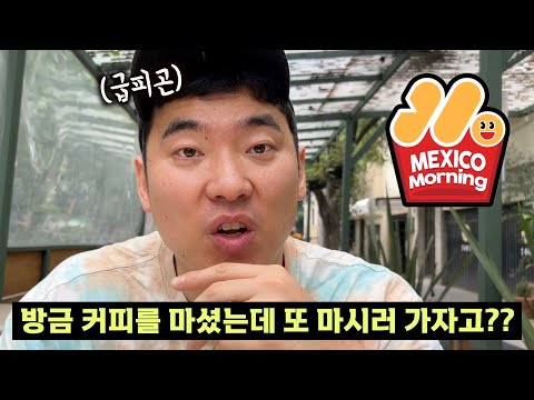 [멕모닝] 오늘 뭐 먹지? 브런치카페 가서 커피 마시고 책방가서 또 커피 마시자