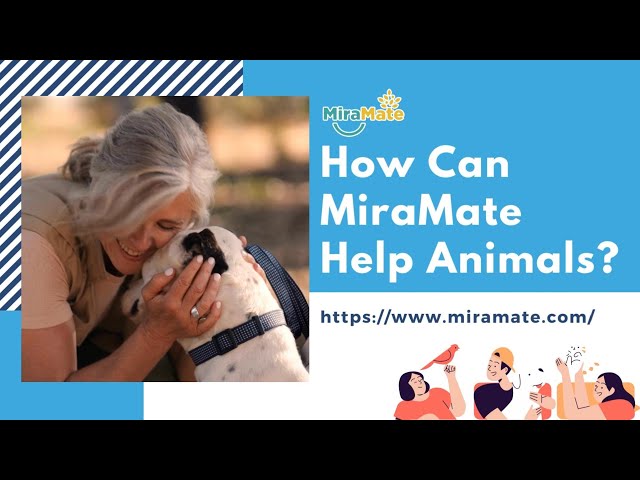 How Can MiraMate Help Animals?
