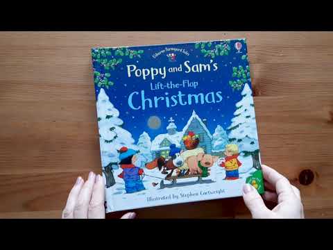 Usborne - Poppy and Sam's lift the flap Christmas