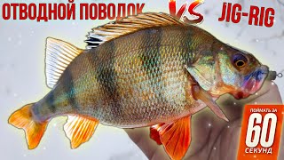 видео: Тактика Ловли Пассивного Окуня. Отводной поводок или Джиг-риг? картинка: Тактика Ловли Пассивного Окуня. Отводной поводок или Джиг-риг?