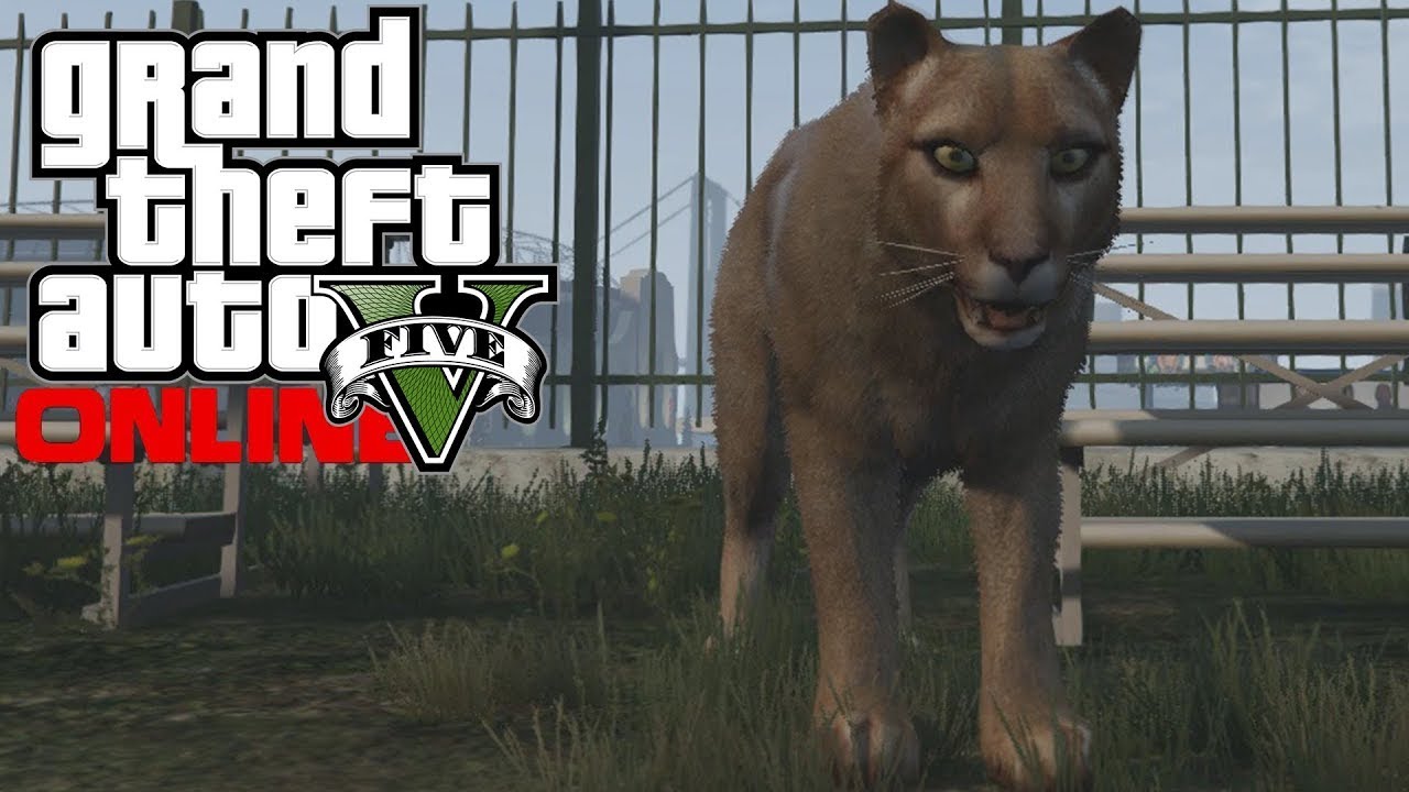 Are there animals in gta 5 фото 107