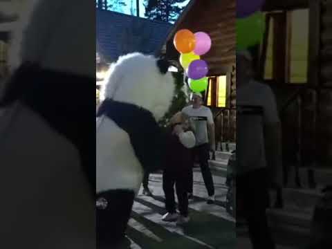 большой медведь панда, поздравление с днём рождения #ростоваякукла