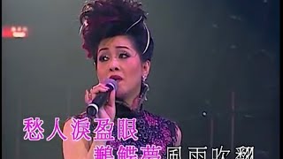 Video-Miniaturansicht von „胡美儀丨等待丨張偉文04好聽演唱會“