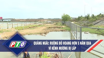 Thi công cao tốc Đà Nẵng - Quảng Ngãi: Kênh mương bị lấp, dân bức xúc vì ruộng bỏ hoang | PTQ