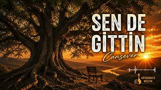 Canseveri̇n Anisina Sen De Gittin Anatolian Arabesk Cover