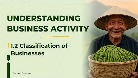 IGCSE Business Studies Ch 1.2 | Classification of Businesses | Sectors, Private & Public