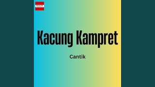 Kacung Kampret