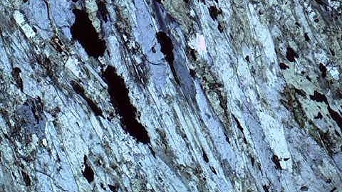 Glaucophane in plane polarized light (25x total magnification)