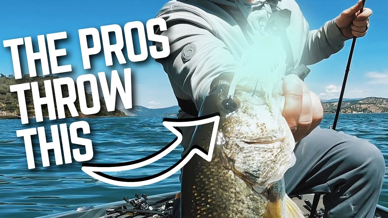 All PROS THROW THIS – 8 tips for fishing chatterbaits for bass!