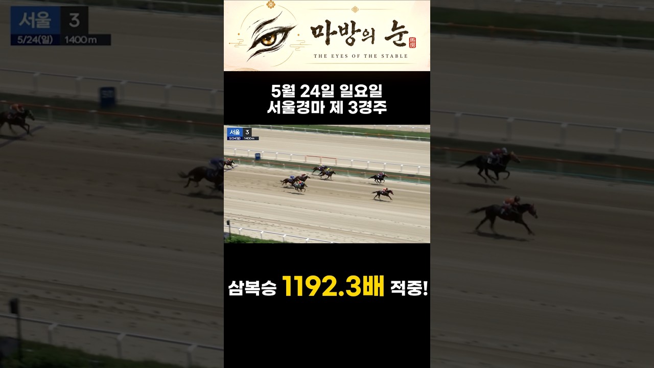 다들 버린 11번을 잡았다, 삼복승 1192배 적중! #경마 #쇼츠