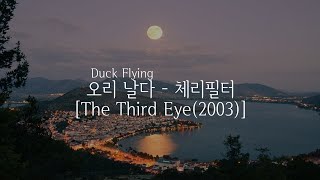 Video thumbnail of "[Translation] 오리 날다 - 체리필터 (Lyrics/Interpretation)"